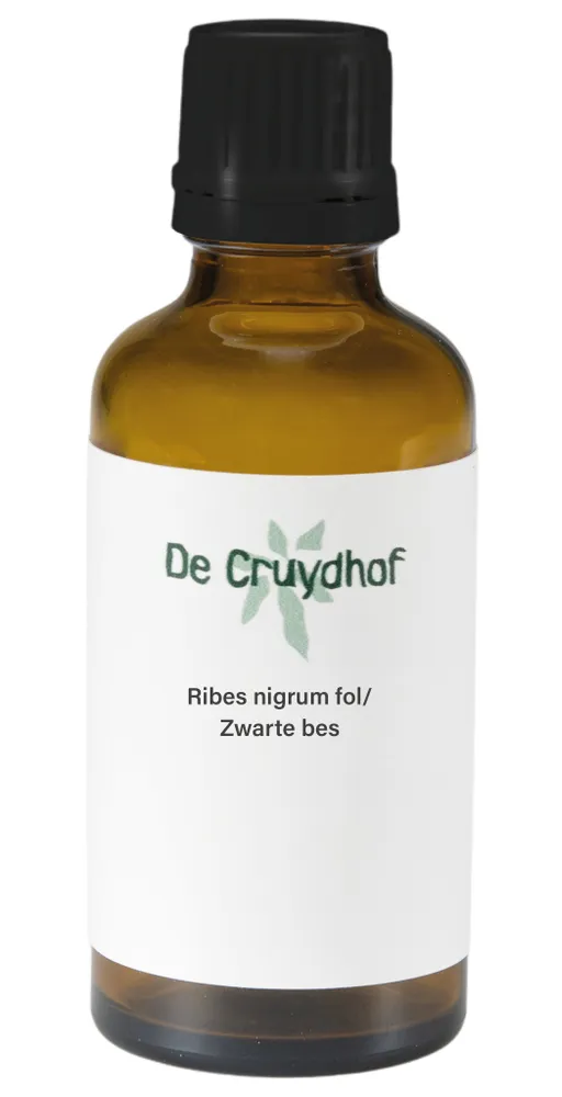 Cruydhof Ribes Nigrum Fol/Zwarte Bes Druppels