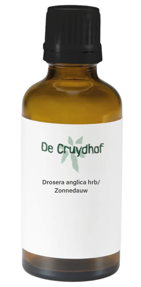 Cruydhof Drosera Anglica Hrb/Zonnedauw Druppels