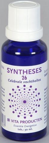 Vita Syntheses 26 Cerebrale Vochtholtes