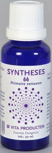 Vita Syntheses 66 Primaire Zenuwen