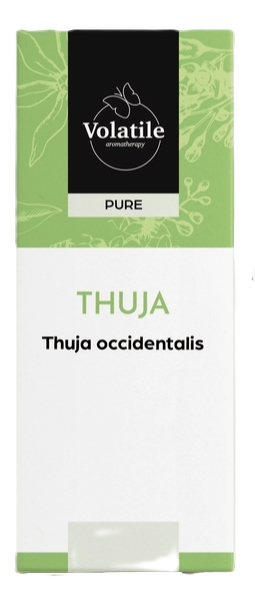 Volatile Thuja (Thuja Occidentalis)