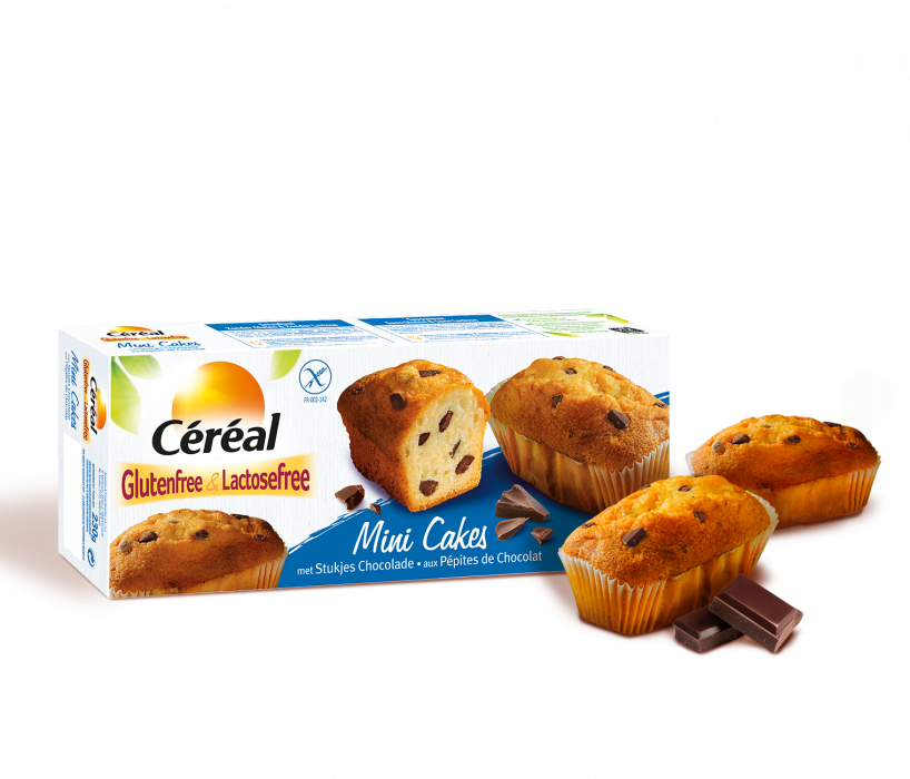 Cereal Mini Cakes Met Stukjes Chocolade