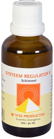 Vita Systeem Regulator B