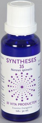 Vita Syntheses 35 Nervus Spinalis