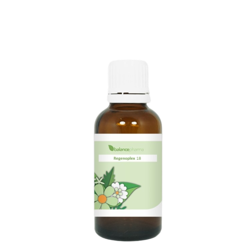 Balance Pharma Regenoplex 018 Gewrichten
