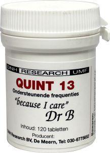 DNH Quint 13 Tabletten
