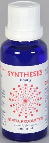 Vita Syntheses Bron 5 Existentie