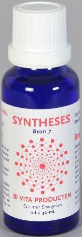 Vita Syntheses Bron 7 Bewustzijn