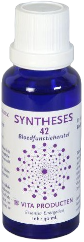 Vita Syntheses 42 Bloedfunctieherstel