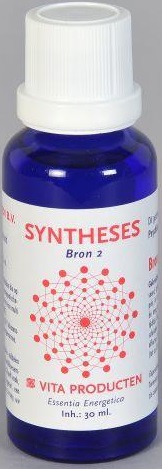 Vita Syntheses Bron 2 Psyche
