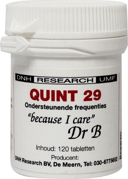 DNH Quint 29 Tabletten
