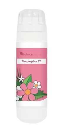 Balance Pharma Flowerplex 037 Metabolisme