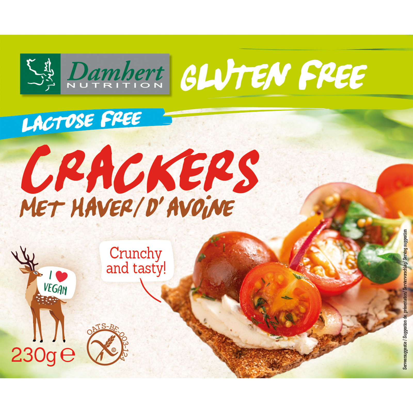 Damhert Gluten Free haver Crackers Lactose Free