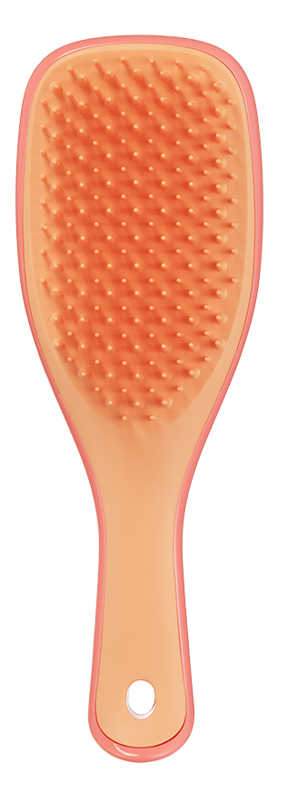 Tangle Teezer Detagling Mini Haarborstel