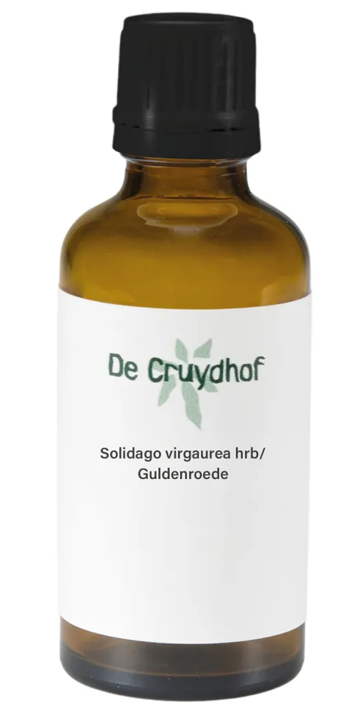 Cruydhof Solidago Virgaurea Hrb/Guldenroede Druppels